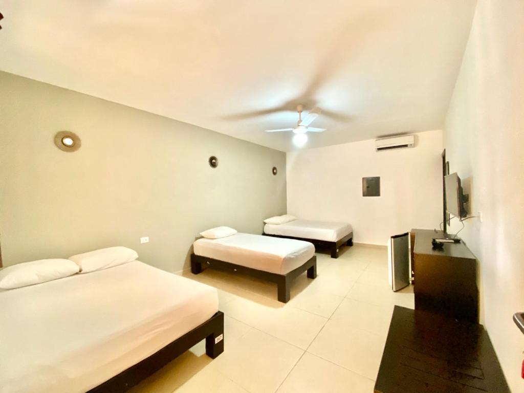We Playa Hotel プレヤデルカーメン エクステリア 写真